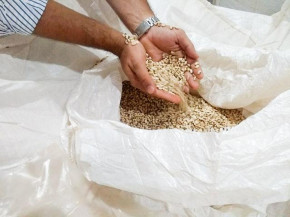 STJ decide que produtos agrícolas não podem ser enquadrados como bens de capital essenciais