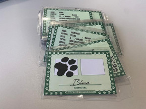 Começa nesta sexta-feira a retirada dos vales castração e RGA na sede do Imam