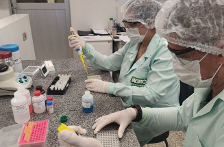 Iagro obtém credenciamento para diagnóstico de peste suína clássica e doença de Aujeszky