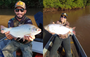 Giro da Onça: Conheça a Barra Dourada, encontro dos rios que encanta os pescadores em MS