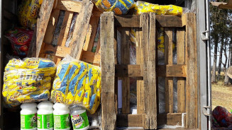 Motorista do RJ é preso em MS com 1.721 kg de maconha em meio a fardos de salgadinhos