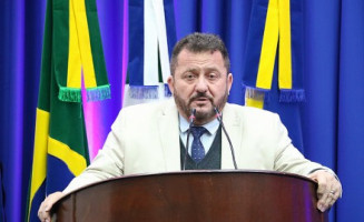 Laudir solicita informações sobre serviços paralisados de picotagem de galhos em Dourados