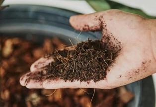 Fertilizantes: ritmo de importação atenua no Brasil