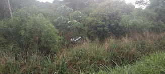 Vítima ainda não foi identificada (Foto: Reprodução/MS News)