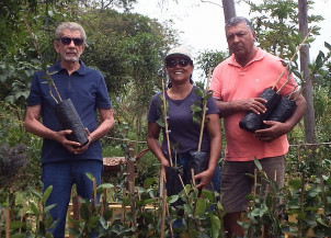 Agraer estimula produção de pomares domésticos em Ivinhema