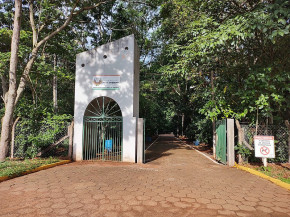 Prefeitura de Naviraí institui o Programa Municipal de Conversão de Multas Ambientais