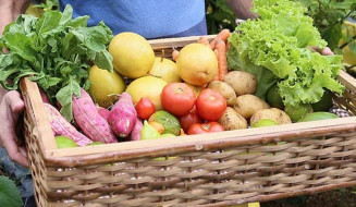 Foto: Arquivo/Prefeitura Mogi das Cruzes