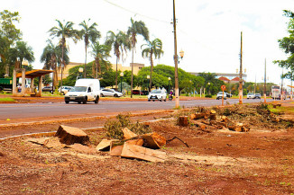 Retirada de árvores na Coronel Ponciano faz parte da obra de duplicação da via