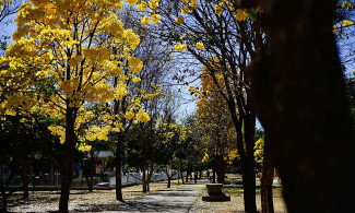 Foto: Marcelo Casal JR/Agência Brasil