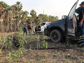 Operação Focus vistoria propriedades no Pantanal da Nhecolândia e Nabileque