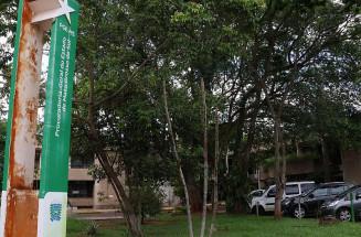 Decreto altera regras de acordos diretos para pagamento de precatórios em MS