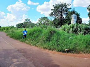 Devido a inércia da Prefeitura e preocupado com os alunos, Diretor protocola ofício pedindo urgência na limpeza de matagal