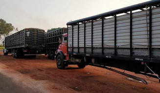 Iagro e DOF apreendem três caminhões com animais e guia de trânsito falsificada