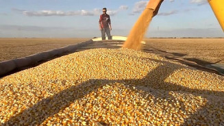 Argentina enfrenta a pior seca dos últimos 60 anos com preocupações com produção de grãos