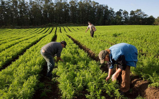 Governo vai lançar programa de reforma agrária este mês, diz ministro