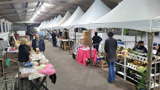 Expoagro reúne empreendedores locais com produtos artesanais e sustentáveis