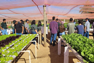 Produtores de hortaliças conhecem novas tecnologias para o setor no Dia de Campo do Senar