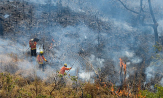 Veja como El Niño pode afetar o inverno que começa nesta quarta-feira