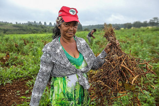 Governo lança linha de crédito específica para pequenas agricultoras