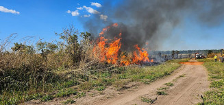 Bombeiros de MS extinguem fogo na região do Pantanal
