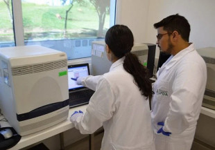 Brasil registra 2º caso de gripe aviária em animal de criação