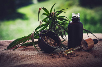 STJ autoriza três pacientes a cultivarem cannabis para fins medicinais