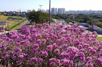 Previsão do Tempo em Mato Grosso do Sul para esta quinta-feira (20)