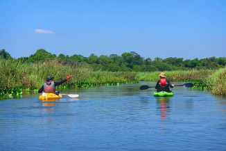 Giro da Onça: Imasul sinaliza trecho de trilha aquática que passa pelo Parque Estadual das Várzeas