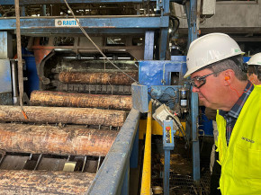 Tecnologia de ponta é chave para crescimento da indústria florestal de MS