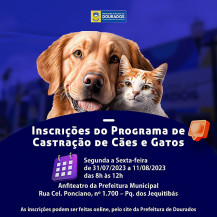 Prefeitura abre inscrições para Castração de Cães e Gatos nesta segunda-feira