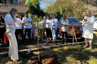 MS dá início às ações de incentivo à amamentação com o plantio de muda de Ipê Branco