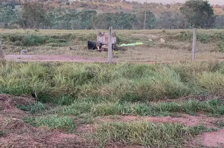 Jovem morre ao ser arremessada para fora de veículo após capotar em rodovia em Rio Negro