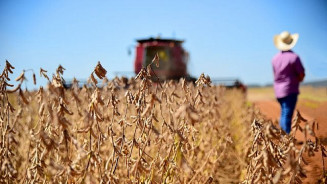 PIB da soja e do biodiesel no Brasil pode subir 20% em 2023