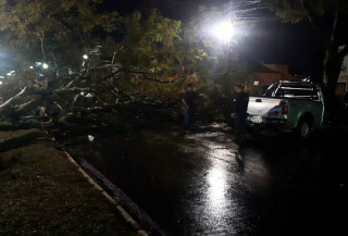 Temporal destrói moradias e derruba árvores em Dourados