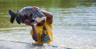 Semana do Pescado tem início na Assembleia Legislativa e promete movimentar MS