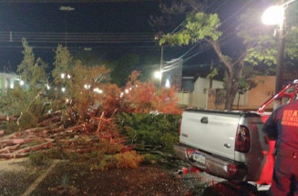 Agesul disponibiliza frota para limpeza urbana de Dourados após temporal