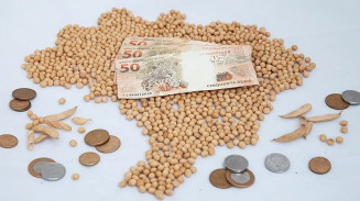 Soja responde por 42% do valor de produção total do agro brasileiro