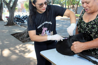 Campanha de Vacinação Antirrábica em Naviraí terá prosseguimento no próximo sábado (23)