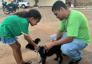 Secretaria Municipal de Saúde divulga balanço da campanha de vacinação antirrábica em Bataguassu