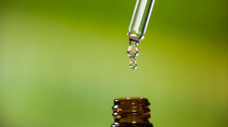 Estudo aponta que óleo de copaíba apresenta efeitos antibióticos