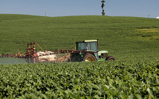 Soja: fungicida é aprovado no controle de doença que causou perdas de 59 mi de sacas