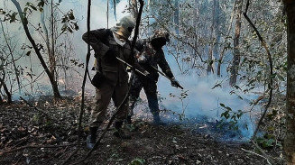 MS decreta emergência em razão de incêndios no Pantanal