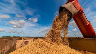 Exportações do agronegócio em outubro foram de US$ 13,38 bilhões