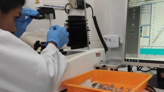 Película biodegradável mantém alimentos frescos por mais tempo