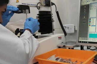 Película biodegradável mantém alimentos frescos por mais tempo