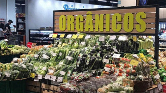 Vendas de orgânicos no Brasil crescem 30%, aponta pesquisa