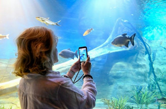 Em manutenção, Bioparque Pantanal está fechado e reabre dia 9 de janeiro