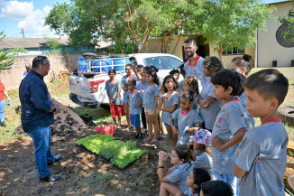 Em menos de seis meses, Capital cresce em 50% número de hortas sociais
