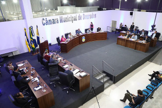 Câmara de Dourados aprova projeto de lei para combater o abandono de animais