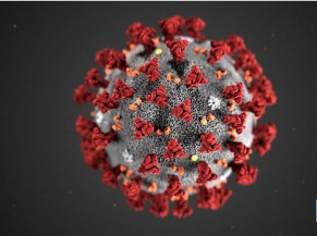 Garota de 15 anos é a primeira adolescente vítima da Covid-19 em MS